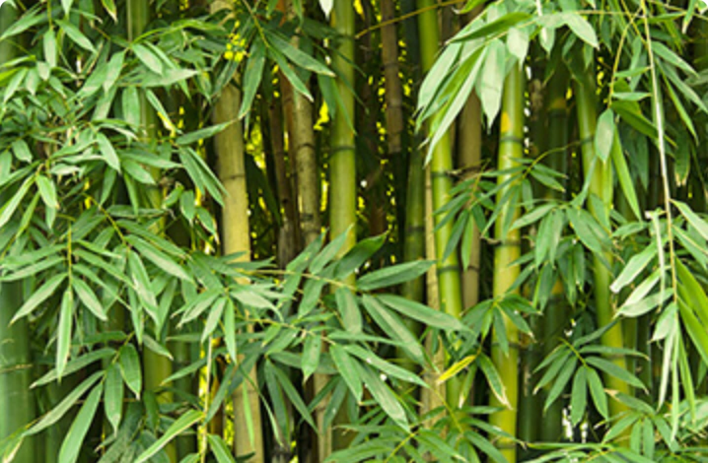 blog-2.jpg?w=1024&h=670&scale