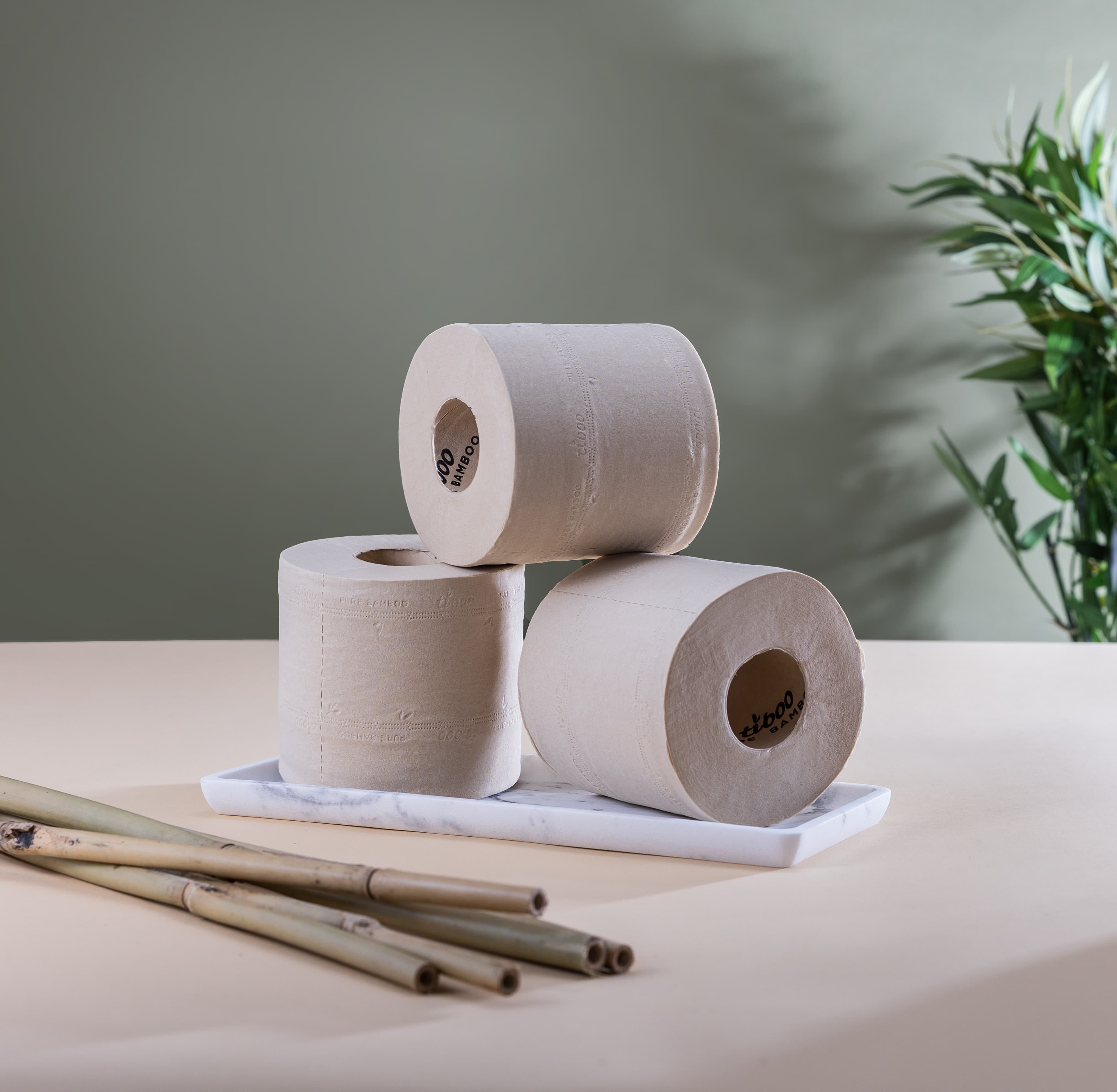 How is Bamboo Toilet Paper made? Tiboo Bamboo UK