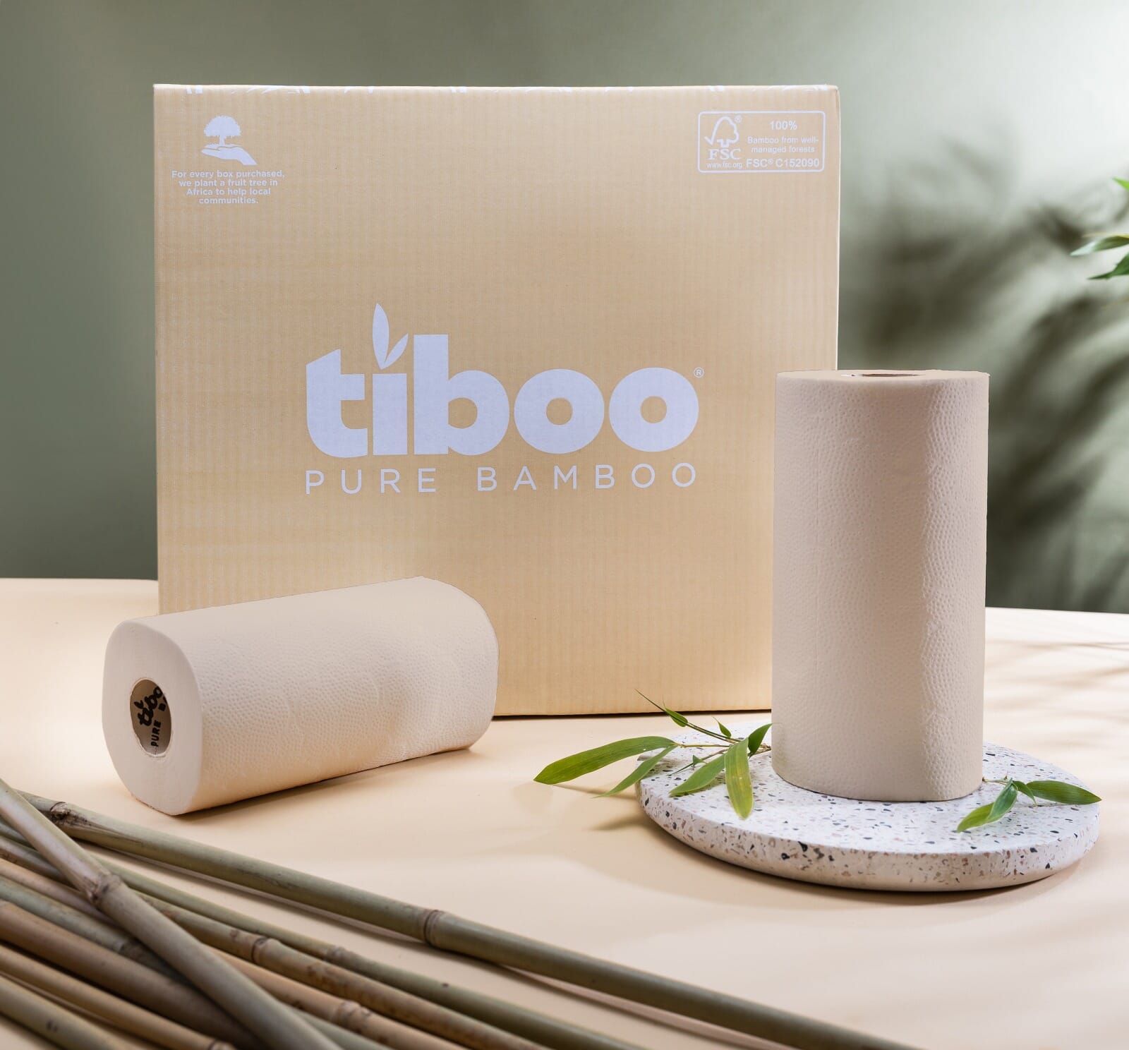 PHOTO-2024-11-10-13-44-32-1.jpg?w=1024&h=952&scale